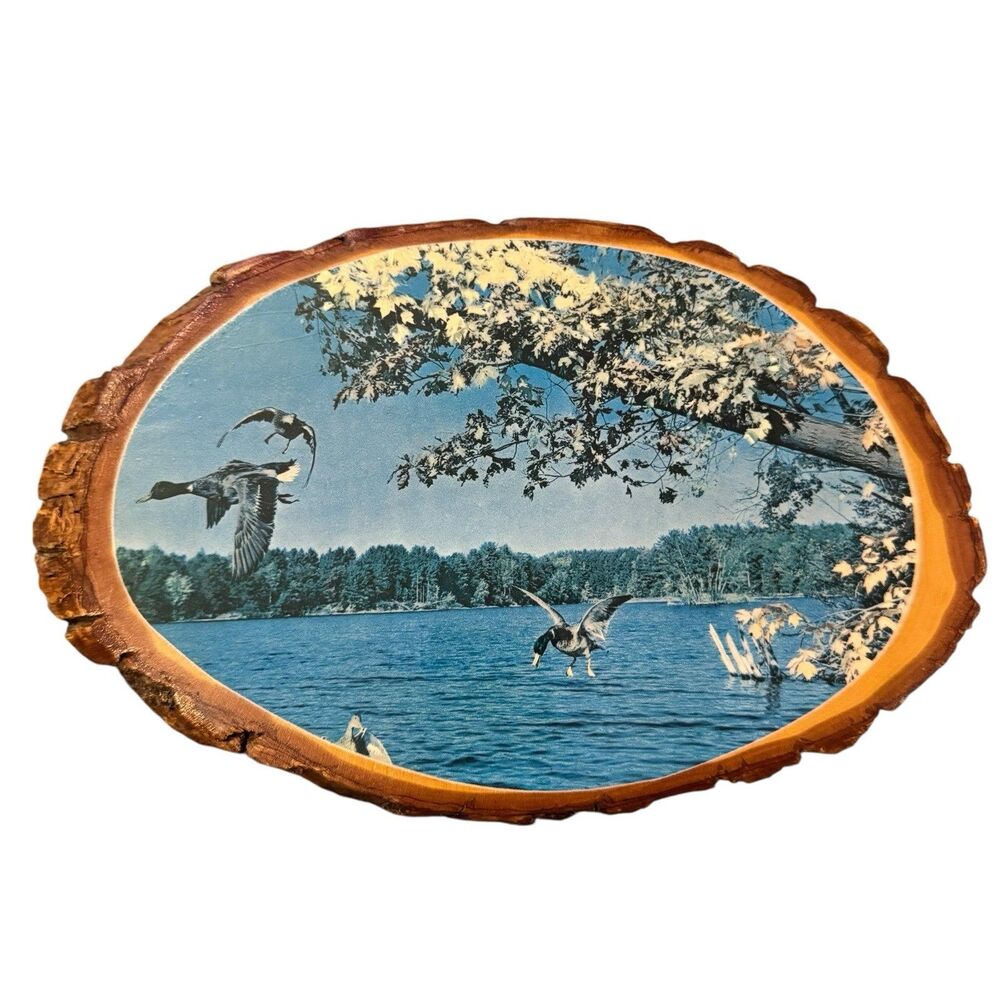 Vtg Ducks In Flight Wood Slice Wall Hanging Plaque Adirondack Mtns Speculator NY